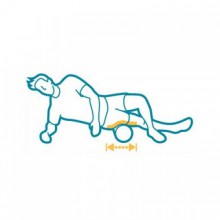 Ролик для пилатес Balanced Body White Roller 108-314, длина: 91 см