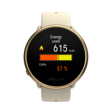 Часы для фитнеса Polar Ignite 2, золото/шампанское, S-L